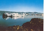 Glaciers and Icebergs in Wolstenholme Fjord