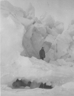 Roy on an Iceberg