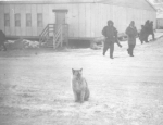Husky and no 5 Mess Hall